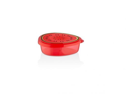 Food Box 800ml Watermelon Pattern L-00838