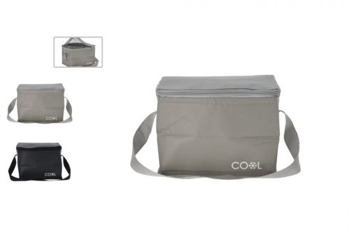 Cooler bag 4 liters 170482480